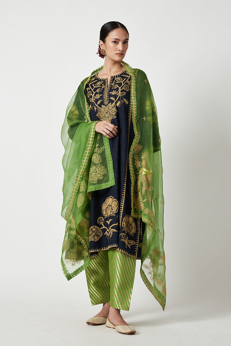 Zora Embroidered Kurta Set (3Pcs)